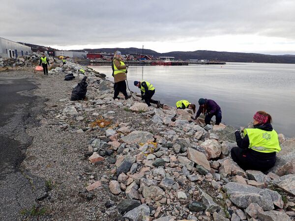 Rydd en strand og ta vare på fuglelivet