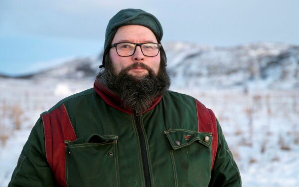 Fra nitten til fem melkekyr