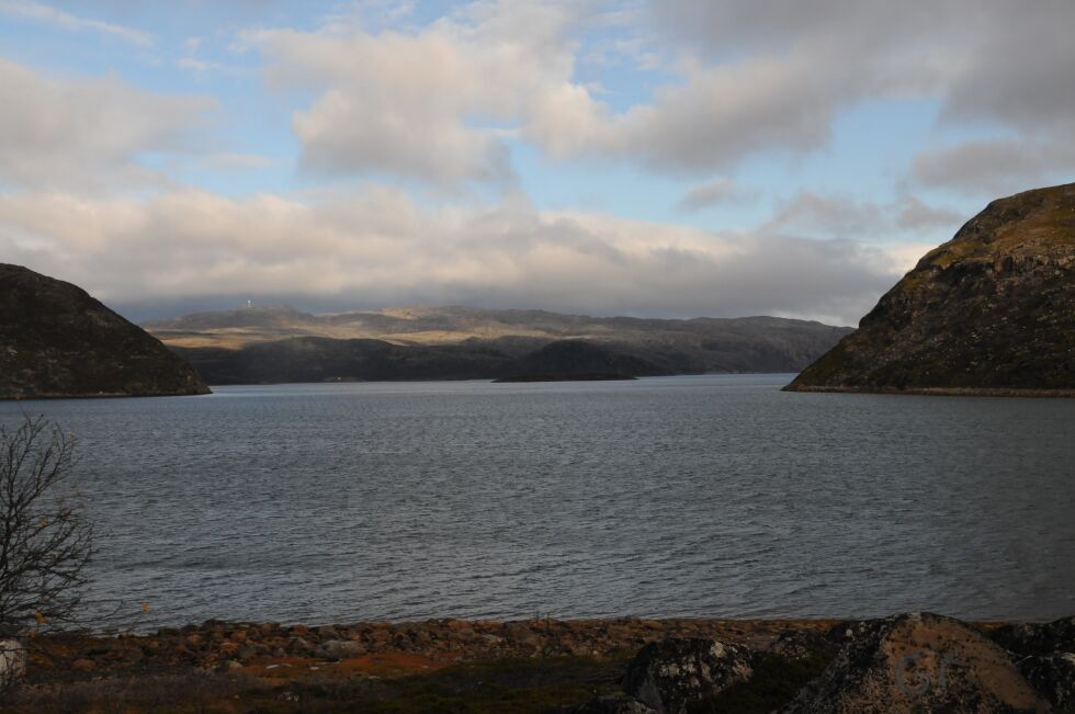 KOM TIL RETTE: Rypejegeren sørfra meldte søndag morgen at han var kommet til Bugøyfjorden ved Valen, som vi ser litt av der det hvite huset ligger, litt til venstre i bildet.
 Foto: Hallgeir Henriksen