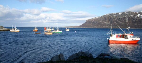 Livet i Porsangerfjorden – gi forskerne en sjanse