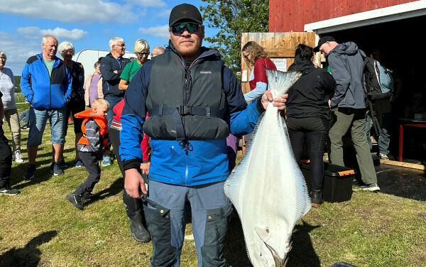 20.000 for 12 kilos kveite