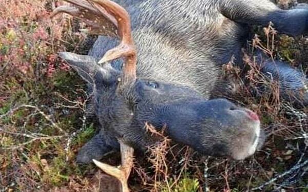 God start i de «nye» kommunene