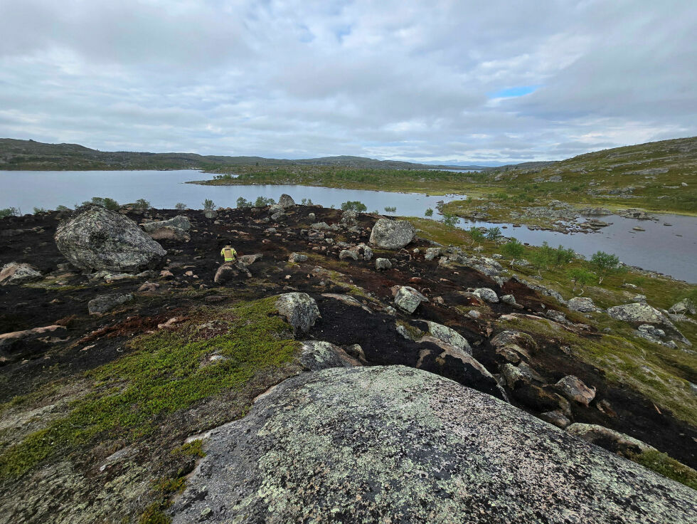 Knusktørr mark gjør at brannfaren nå er på høyeste nivå. Brannen ved Tvillingvann blusset opp etter en uke.
 Foto: Tormod Granaas/Sør-Varanger brannvesen