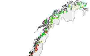 Rømlinger dro langt