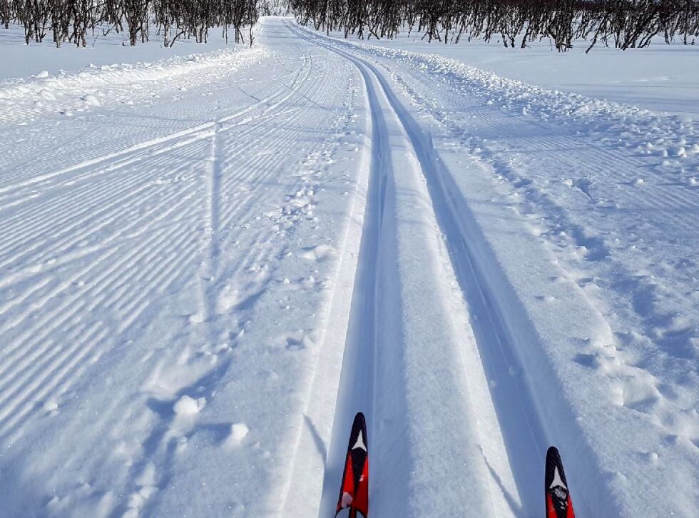 Skiløypa fra Seida til Vadsø er nå kommet med på terminlista for turrenn i Finnmark.
 Foto: Illustrasjonsfoto: Torbjørn Ittelin