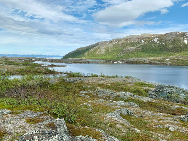 – Stille krav til vernemakta