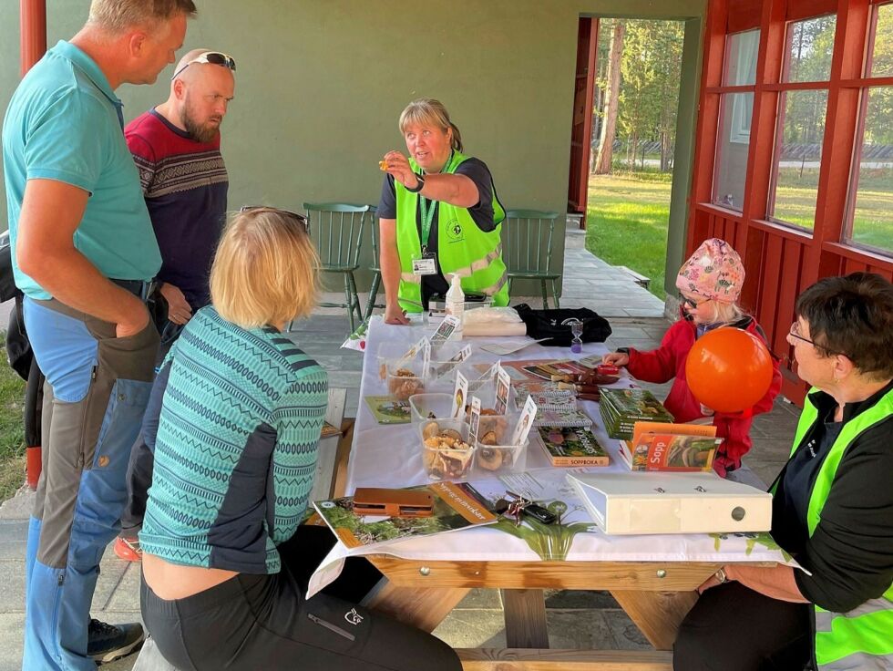 Både store og små deltok på soppkurset i Skoganvarre.
 Foto: Hannah Persen