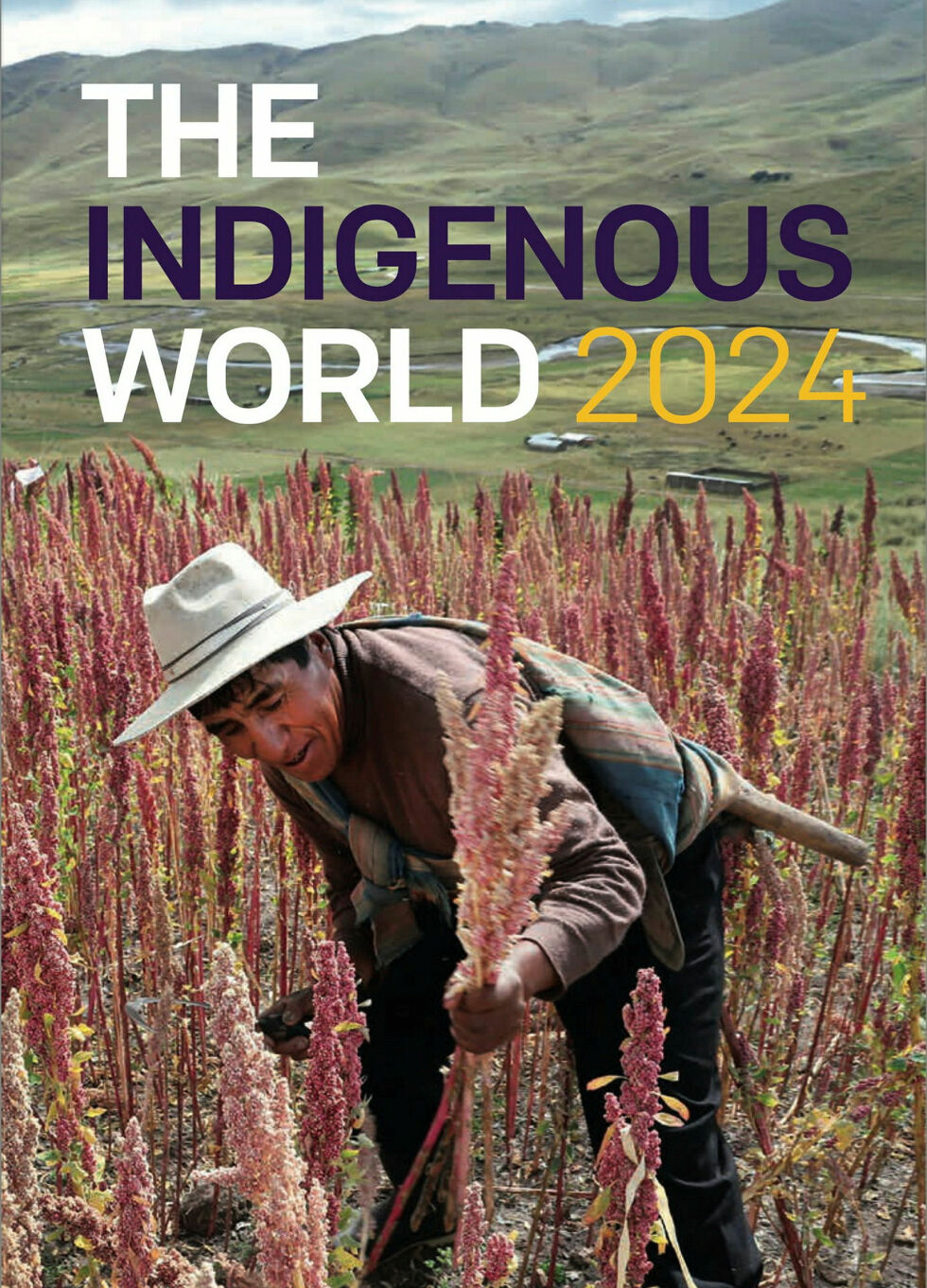 Det rapporteres om situasjonen for urfolk i alle verdensdeler i IWGIAs The Indigenous World 2024, også Sápmi.
 Foto: Pablo Lasansky / IWGIA