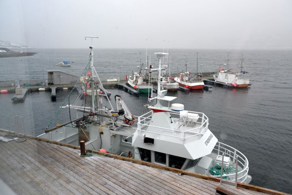 Etter heftig debatt i kommunestyret torsdag, sikret likevel flertallet et tilskudd på en halv million kroner  til grunnundersøkelser, i forbindelse med en satsing utenfra som vil gi 20-30 fiskeriarbeidsplasser.
 Foto: Sonja E. Andersen