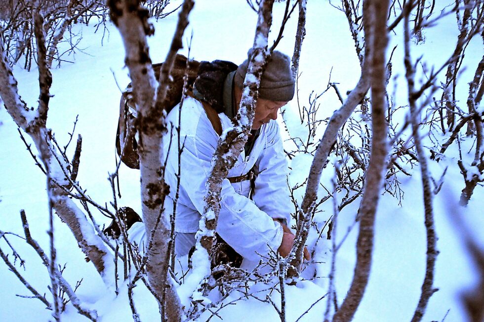 Rei­dar Rav­na har i år som tid­lig­ere år rype­sna­re­ne sine ved Bonakaselvdalen i Ned­re Tana. Bil­det er tatt i 2015 da Sá­gat var ute med ham på re­por­ta­sje­tur.
 Foto: Tom Hardy