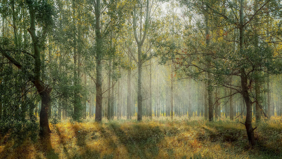 Illustrasjonsfoto av Valiphotos/Pixabay