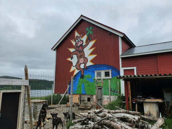 Fjøskunst i Bekkarfjord