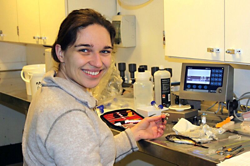 Jasmine Nahrgang har forsket på polartorsk, som er en viktig matkilde for sel, hval og sjøfugl.
 Foto: UiT Norges arktiske universitet