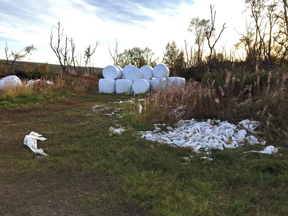 Et demotiverende syn for tanaværingene, som akkurat har begynt å kildesortere plast.
 Foto: Privat