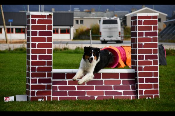 Agility – samspill og samarbeid