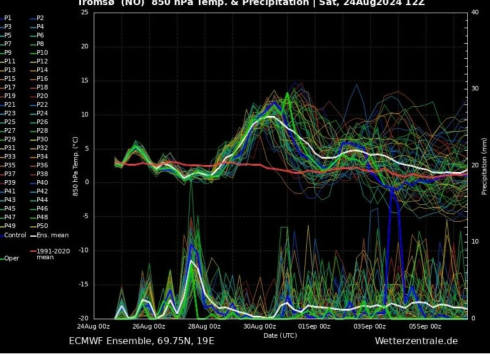 Værprognose for de kommende dagene.
 Foto: European Centre for Medium-Range Weather Forecats (ECMWF)