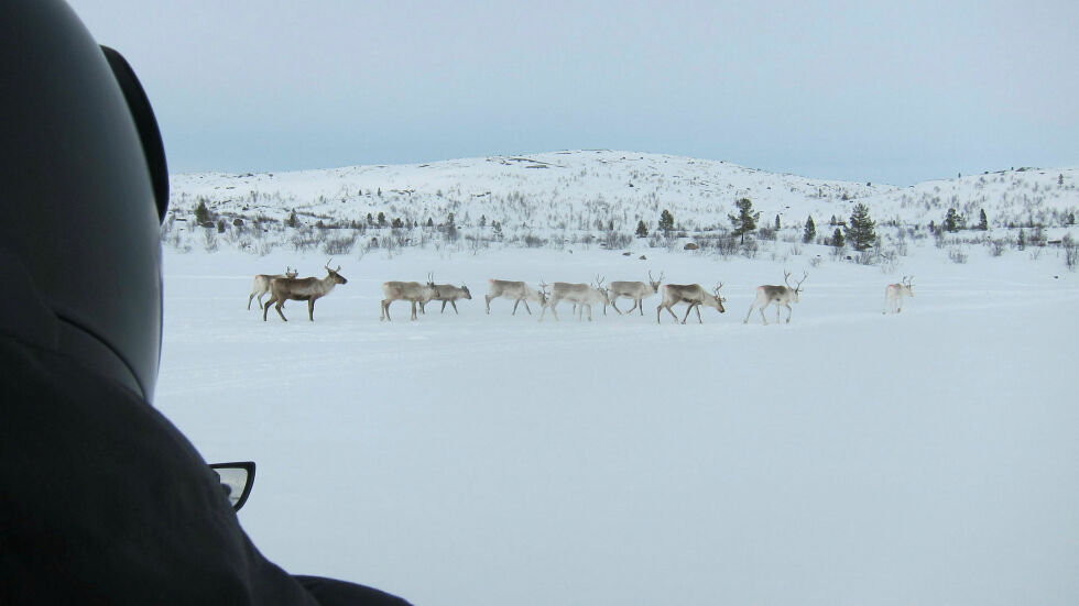 Høyesteretts avgjørelse gjør at dommen i lagmannsretten blir stående.
 Foto: Rita Heitmann