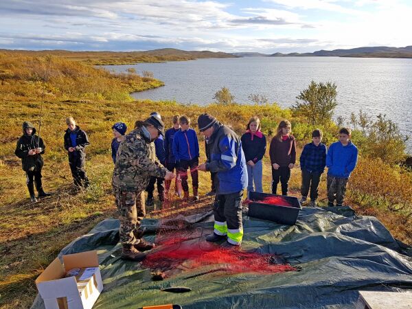 Samisk ved Sommervann