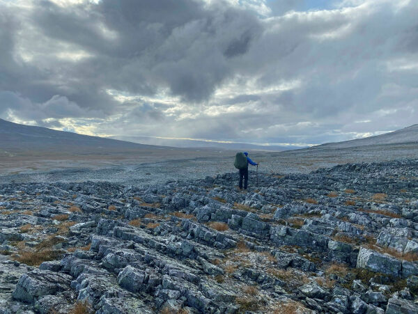 Vi sier nei til vindkraftkolonisering i Finnmark