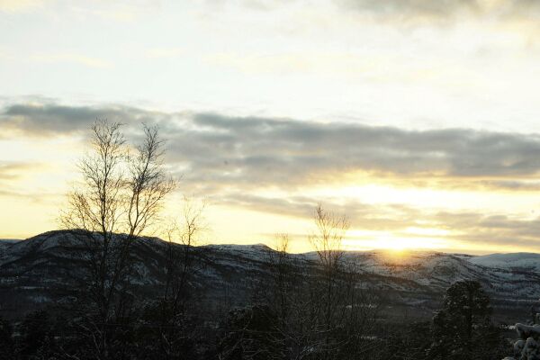 Solid varmerekord for januar i Finnmark