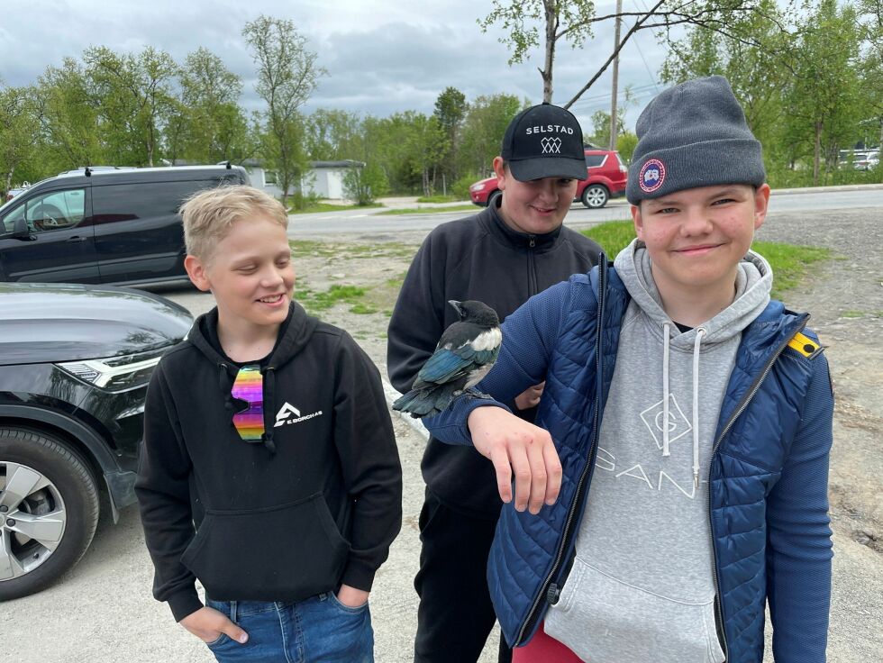 Mico Arvola, Daniel Johansen og Aron Larsen med Bob Kåre på armen. Det virker som om skjæra trives best på skuldra eller armen til en av gutta. Da faller den fort til ro.
 Foto: Birgitte Wisur Olsen