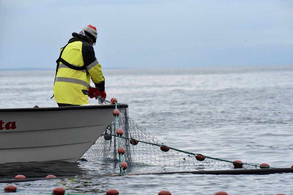 Dersom forslaget fra Miljødirektoratet blir vedtatt, blir det stopp i all fiske etter laks i sjøen i Finnmark i år.
 Foto: Irene Andersen