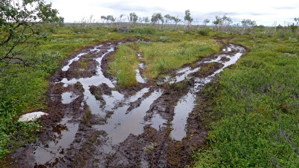 På grunn av svært bløte traseer, vil Tana kommunen mandag ta stilling til om de skal be fylkesmannen i Finnmark stenge flere barmarksløyper.
 Foto: Statens naturoppsyn