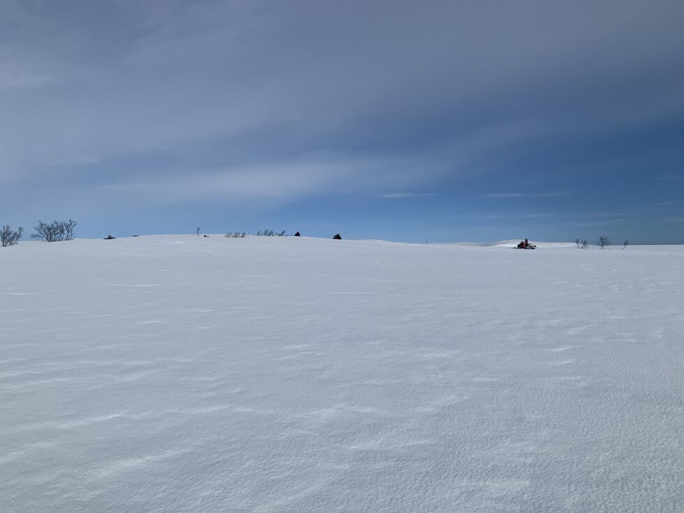 Illustrasjonsfoto: Lisbeth Myrvang