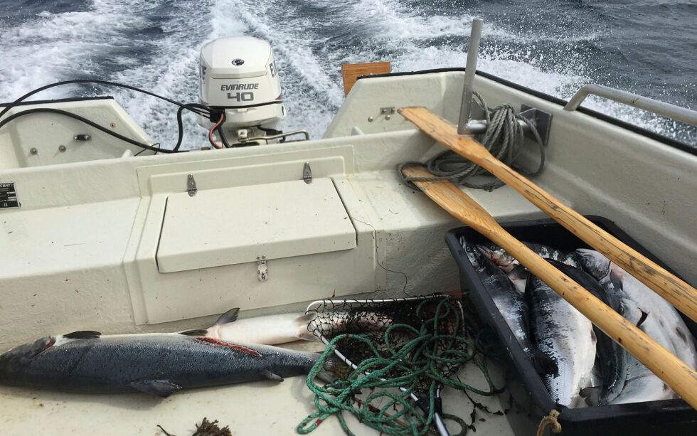 Finnmark sjølaksefiskeforening mener det kan innføres en kvote for fiske av laks i sjøen, og at fisketiden settes fra 1. juni til 4. august.
FOTO: IRENE ANDERSEN