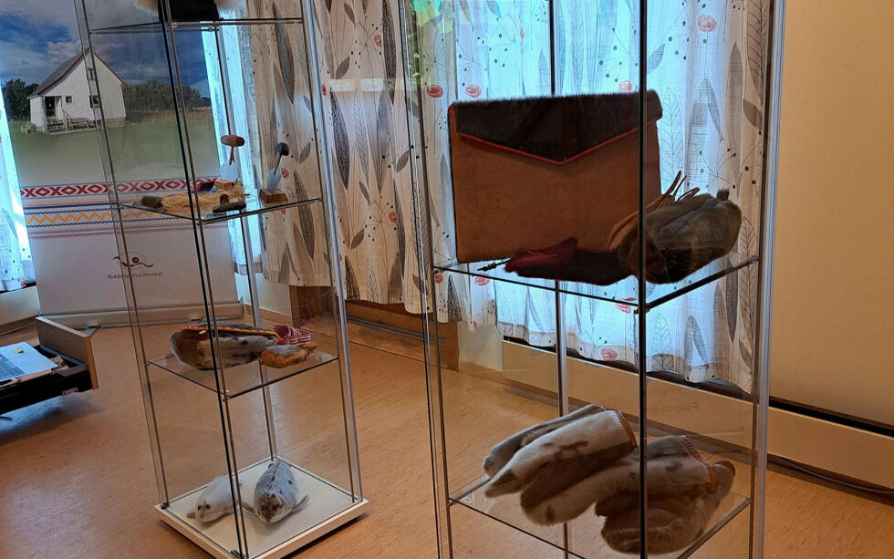 Et utvalg ferdige selskinnsprodukter.
 Foto: Liss Beth Gjertsen Nyby