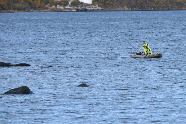 Rykket ut for å redde dyr i sjøen - fant kobbe