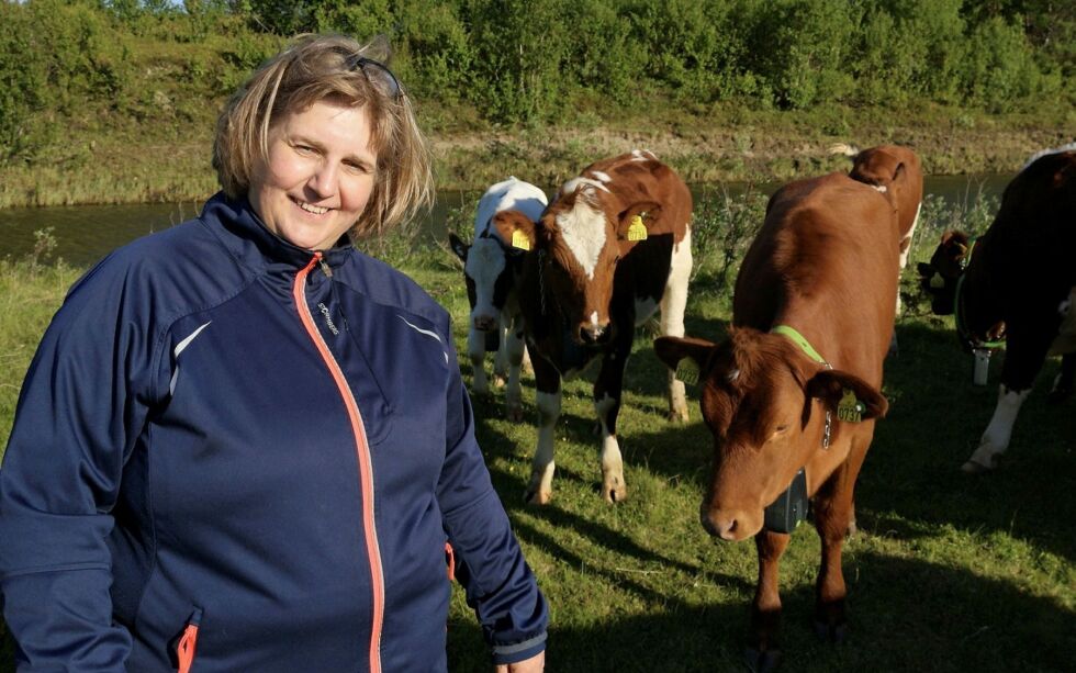 Hege Persen sammen med kyr fra besetningen til Navet Doallu.
(Privat foto)