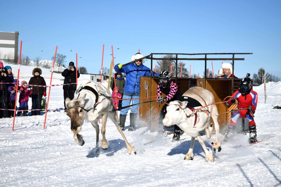 Karasjok Reinkappkjørerlag vil gjerne promotere sporten sin for å få flere med, og la derfor en av cuprundene til Kirkenes. Her fikk publikum se fart og spenning i den kilometerlange løypa.
 Foto: Birgitte Wisur Olsen
