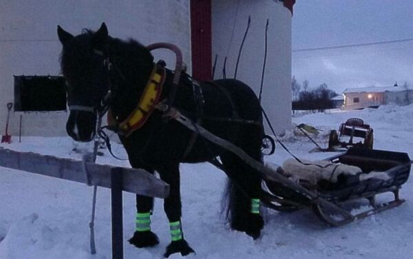 Julenissen skal rundt Lakselv med hest og brannbil