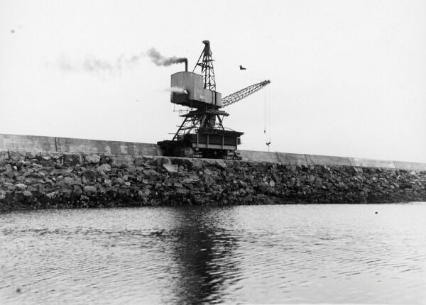 Haifakranen på Svartoksmoloen