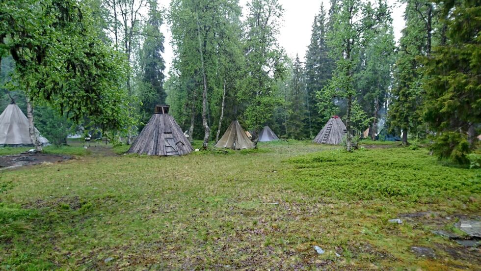 Ankarede, feiring av midtsommeraften i sørsameområdet.
 Foto: Privat