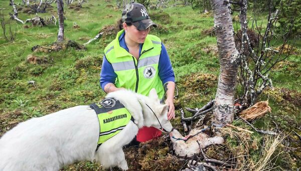 – Hundens nese er unik
