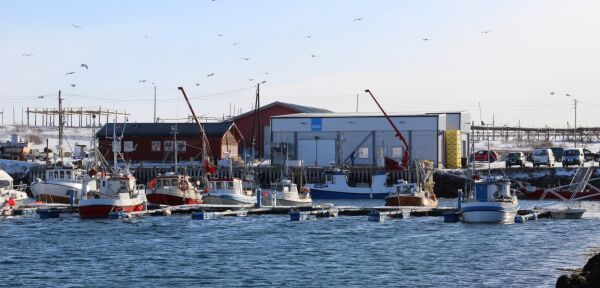 Redusert drift ved fiskebruket