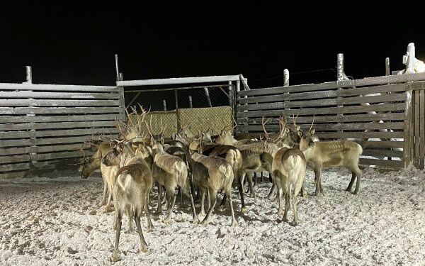 Fritatt for eiendomsskatt – får fortsatt krav