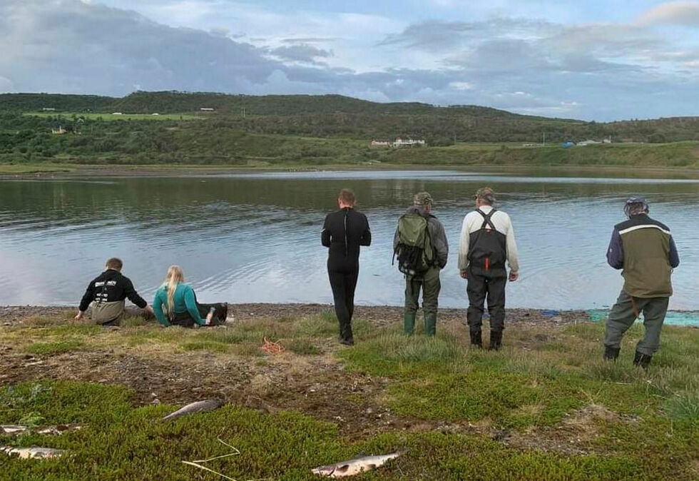 Jeger- og fiskerforeningen i Nesseby har sett seg nødt til å avslutte ordningen med gratis fiske etter pukkellaks i de tre elvene i kommunen.
 Foto: Privat