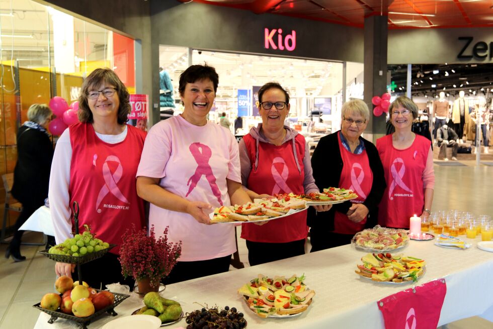 Disse damene stilte alle opp for å markere Rosa sløyfe-aksjonen 2016 som startet på lørdag. Alle engasjerte er selverfarte med brystkreft. Fra venstre Judith Hansen, Ann Oddveig Solvang, Sissel Fredriksen, Torill Høgli og Torill Eriksen.
 Foto: Silje L Kvammen