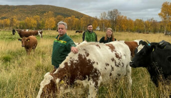 – En hån mot beitenæringa