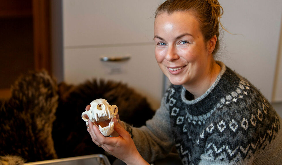 Elida Langstein er ny prosjektmedarbeider i prosjektet næring og rovvilt og holder til på Stabbursnes naturhus og museum på Stabbursnes.
 Foto: Cecilie Bergan Stuedal