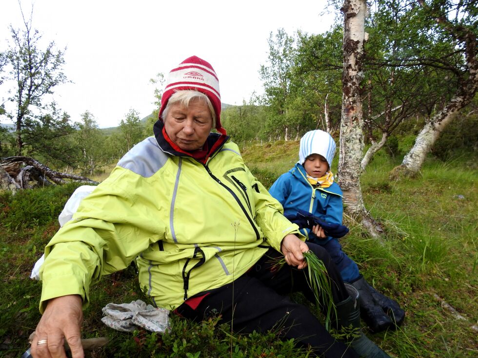 Anna Berit Eira Anti og hennes unge slektning Jon Áilu Meløy ser over bunten med luktegress som de har sanket inn.
 Foto: Lea Nilsen Marakat