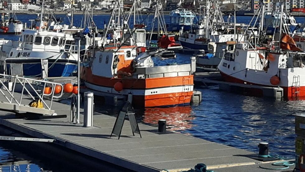 Bivdu foreslår en «omfordeling» av kvoter. – Det som da blir «ledig» på turistfiske, kan overføres til kystfiskekvoten, uttaler de.
 Foto: Privat