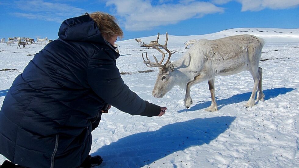 Arkivfoto fra 2018 da statsministeren besøkte Nils Henrik Sara og Kristine Nina Saras «Boazu sámi siida»-lávvu ved Niibejávri nord for Alta.
 Foto: Rita Heitmann