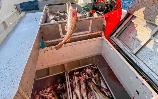 Vil styrke Porsangerfjorden 3.0 med regionalt samarbeid