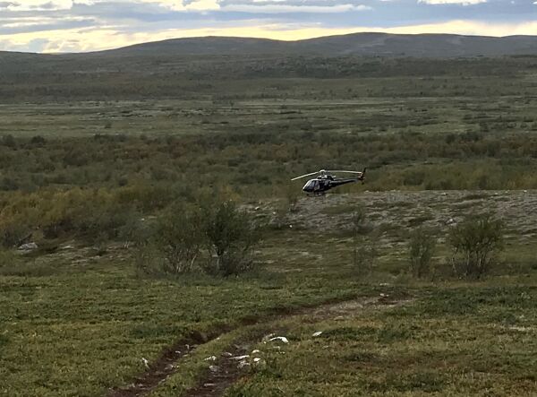 Ønsker tips etter ulovlig elgjakt