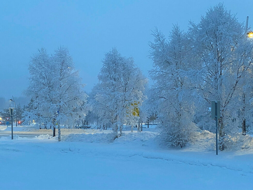 Det har vært iskaldt i Karasjok. Enkelte dager er det målt ned mot minus 40 grader. Nå kommer plussgradene!
 Foto: Yvette M Stornes