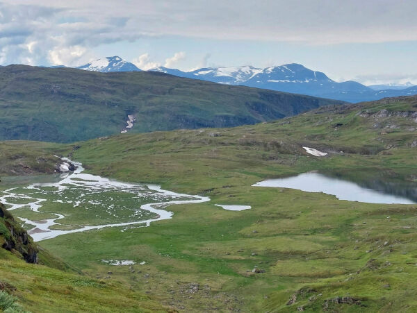 Naturen er vårt halmstrå